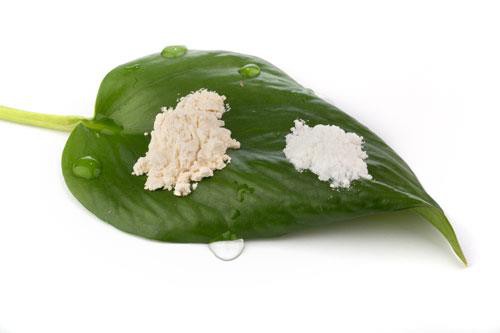 Aloe vera külmutatud kuivatatud pulber