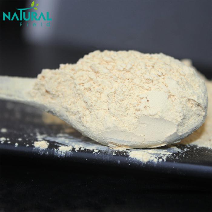 best rice protein powder