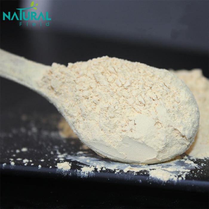 Rice Protein Powder Supplement Bulk for Sale